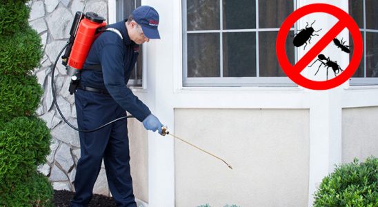 Gazipaşa Bit İlaçlama böcek ilaçlama ve haşere kontrolü — ilaclama-tr.com